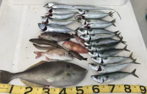 バースデーはファミリーフィッシング！