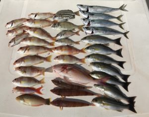 真鯛ねらいで土肥沖へ