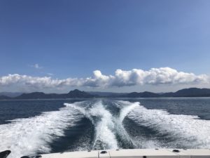 Good go 念願の清水港に入港！！　