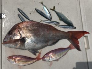 釣り女子！　万歳！