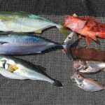 夏山・富士山が・・・