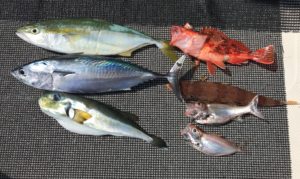 夏山・富士山が・・・