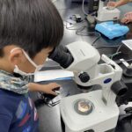 海の生き物の子ども達の観察会
