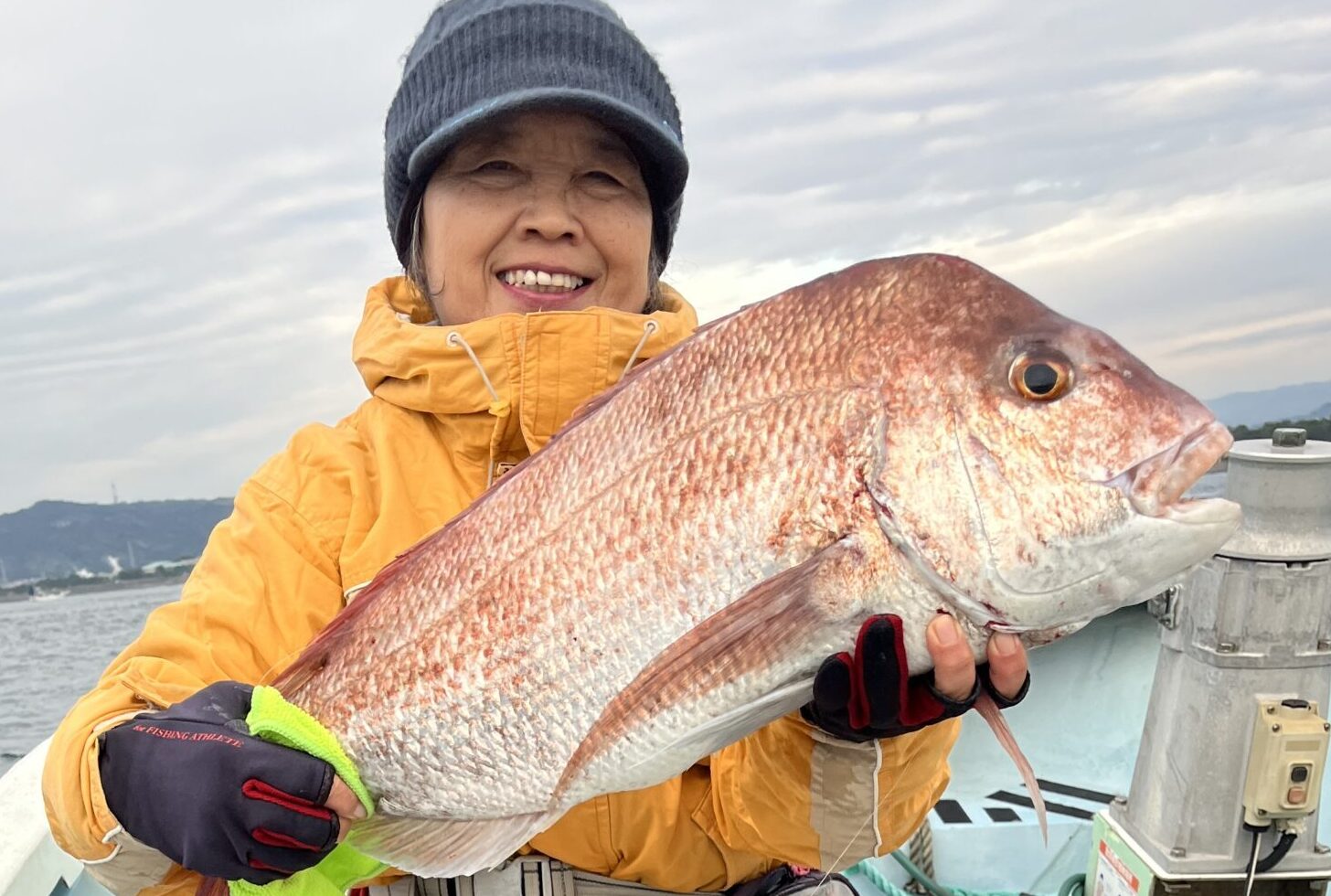 もみじ鯛 70センチ!